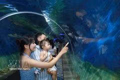 En el Museo del Instituto Oceanográfico de Nha Trang. (Fuente: VNA)