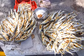 El oficio de vender sardinas asadas de las mujeres costeras de Quang Tri