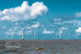 Desarrollo de la energía eólica marina abre nuevas fronteras para la economía azul de Vietnam (Foto: VNA)
