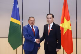El miembro del Comité Central del Partido Comunista y ministro de Relaciones Exteriores de Vietnam, Le Hoai Trung, recibe al titular de Relaciones Exteriores y Comercio Exterior de las Islas Salomón, Peter Shanel Agovaka. (Fuente: Ministerio de Relaciones Exteriores de Vietnam)