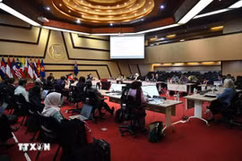 Vietnam asume rol clave como Coordinador de las relaciones ASEAN-Nueva Zelanda para el período 2024-2027 (Foto: VNA)