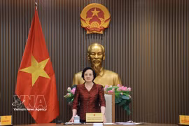La viceprimera ministra Pham Thi Thanh Tra preside la conferencia del Comité Nacional sobre las Personas Mayores de Vietnam (Foto: VNA)