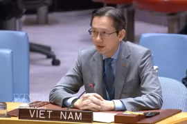 El embajador Do Hung Viet, jefe de la Misión permanente de Vietnam ante la ONU. (Foto: VNA)