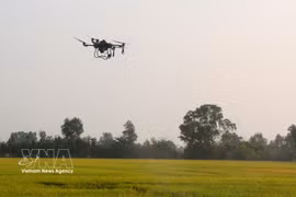 Vietnam refuerza la gestión y vigilancia de los drones (Foto: VNA)