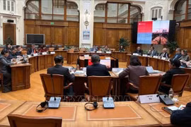 El viceprimer ministro de Vietnam Ho Duc Phoc en reunión con el vicegobernador del Banco Central de Rusia, Alexey Guznov. (Foto: VNA)