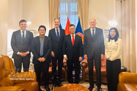 Vietnam y Francia trazan nuevas direcciones para impulsar la cooperación económica bilateral (Foto: VNA)