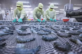 Exportaciones de productos del mar de Vietnam crecen un 8% en el primer trimestre. (Foto: VNA)