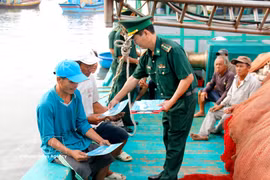 Provincia de Lam Dong refuerza medidas contra la pesca ilegal. (Foto: VNA)