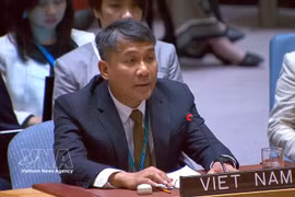 El viceministro permanente de Relaciones Exteriores de Vietnam, Nguyen Minh Vu. (Foto: VNA)