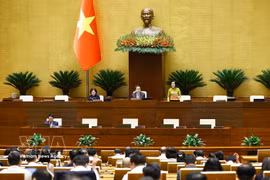 La vicepresidenta de la Asamblea Nacional Nguyen Thi Thanh dirige la sesión de trabajo. (Foto: VNA)
