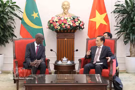 El ministro de Relaciones Exteriores vietnamita, Le Hoai Trung, recibe al ministro y secretario general del Gobierno de Mauritania, Moctar Al Housseynou Lam. (Foto: VNA)