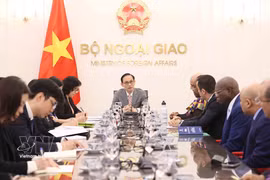 El ministro de Relaciones Exteriores de Vietnam, Le Hoai Trung, recibe al Grupo de Embajadores de África. (Foto: VNA)