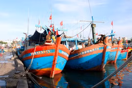Barcos atracan en el puerto de Phan Thiet, provincia vietnamita de Lam Dong. (Foto: VNA)