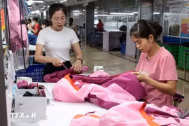 Confección de prendas para la exportación al mercado de la UE. (Foto: VNA)
