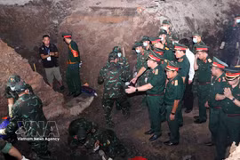 Inspeccionan búsqueda de restos de mártires en parque de Ciudad Ho Chi Minh