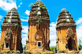 Restauración devuelve nueva vida a la torre Cham más alta del Sudeste Asiático (Foto: nhandan.vn)