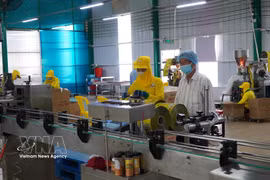 Cadena de producción de empresa Huong Bao Chau en la provincia sureña de Ca Mau. (Foto: VNA)