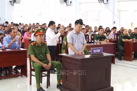 Dong Thap enseña con juicio simulado contra pesca ilegal. (Foto: VNA)