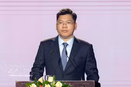 El vicepresidente del Comité Popular municipal Hoang Nguyen Dinh. (Foto: VNA)