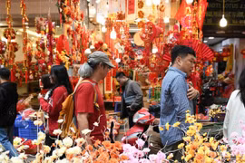 Con un feriado de nueve días por el Año Nuevo Lunar (Tet) 2026, los viajeros vietnamitas están aprovechando al máximo esta pausa para explorar destinos tanto nacionales como internacionales (Foto: VNA)