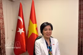 La embajadora de Vietnam en Turquía, Dang Thi Thu Ha. (Foto: VNA)