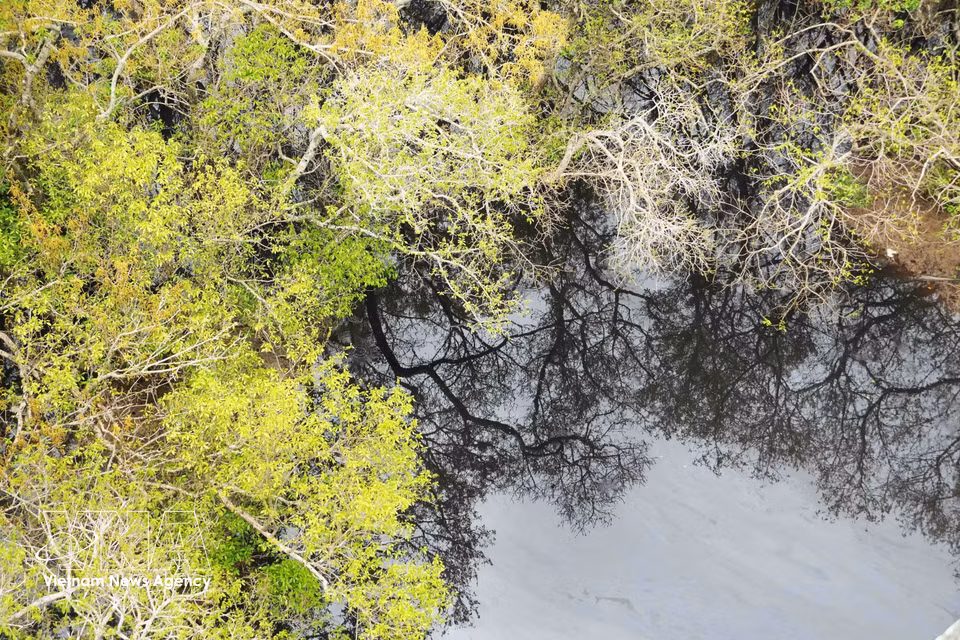 El paisaje adquiere una belleza poética durante la temporada de floración. (Foto: VNA)
