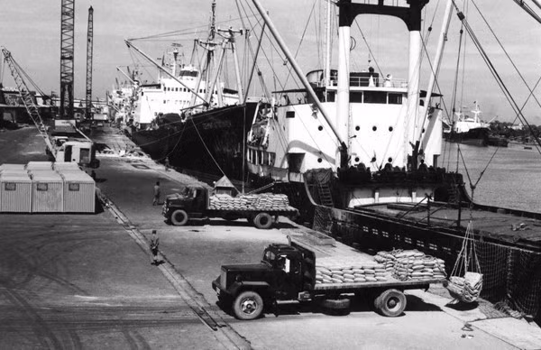 El 5 de abril de 1988, el Buró Político emitió la Resolución 10/NQ-TW sobre la renovación de la gestión de la economía agrícola. Solo un año después, Vietnam pasó de ser un país dependiente de la importación de alimentos a ser capaz de garantizar su seguridad alimentaria y exportar más de un millón de toneladas de arroz. En la foto: Exportación de arroz en el puerto de Saigón (Fuente: VNA)