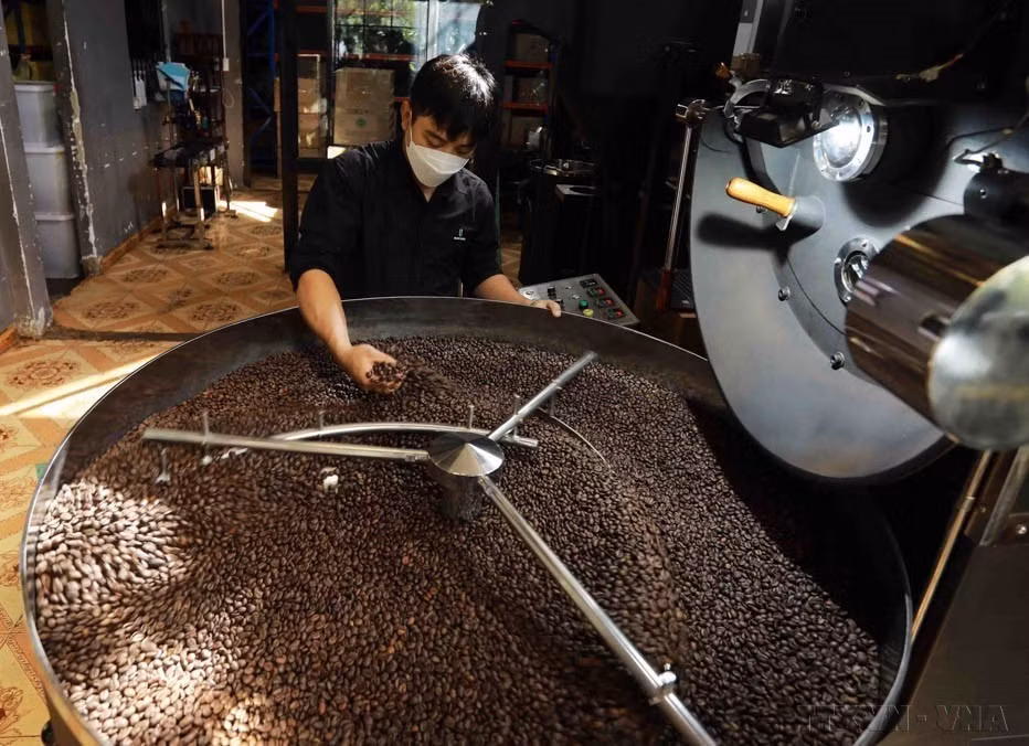 Tras casi 40 años de Renovación, Vietnam se encuentra entre los 40 países con las economías más grandes del mundo y es uno de los 20 países líderes en comercio y atracción de inversión extranjera. En la foto: La empresa TNHH MTV Café BaZan en la ciudad de Gia Nghia, provincia de Dak Nong, produce 60 toneladas de café anualmente, tanto para el mercado interno como para exportación a Italia y Europa. (Fuente: VNA)