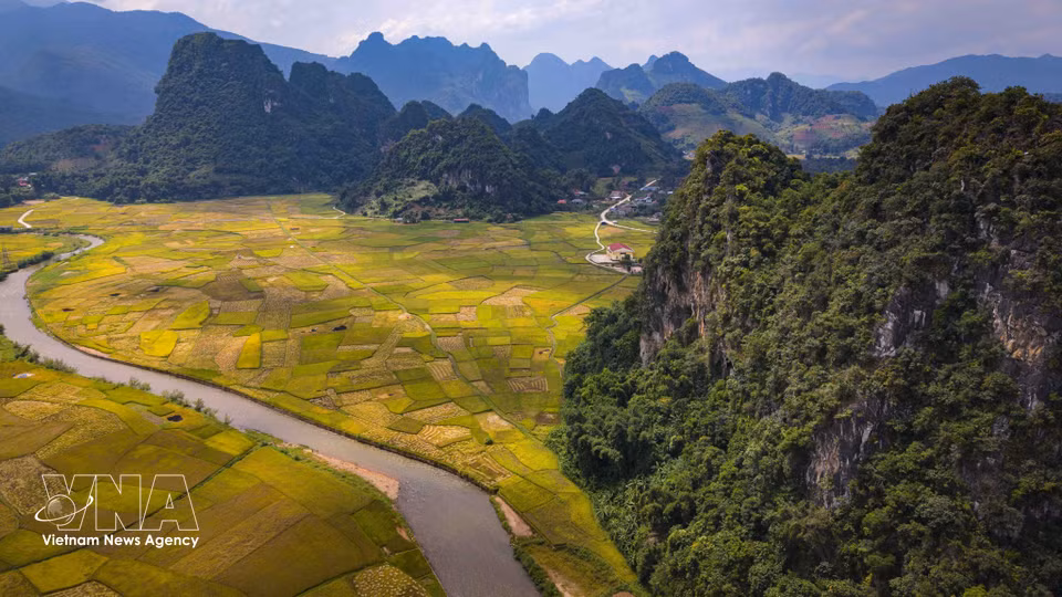Un río serpentea entre los arrozales maduros al pie de las montañas. (Foto: VNA)
