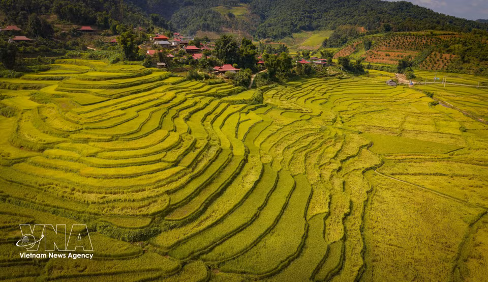 Arrozales en terrazas se suceden junto a una aldea de la comunidad étnica Thai en Chieng Sinh. (Foto: VNA)