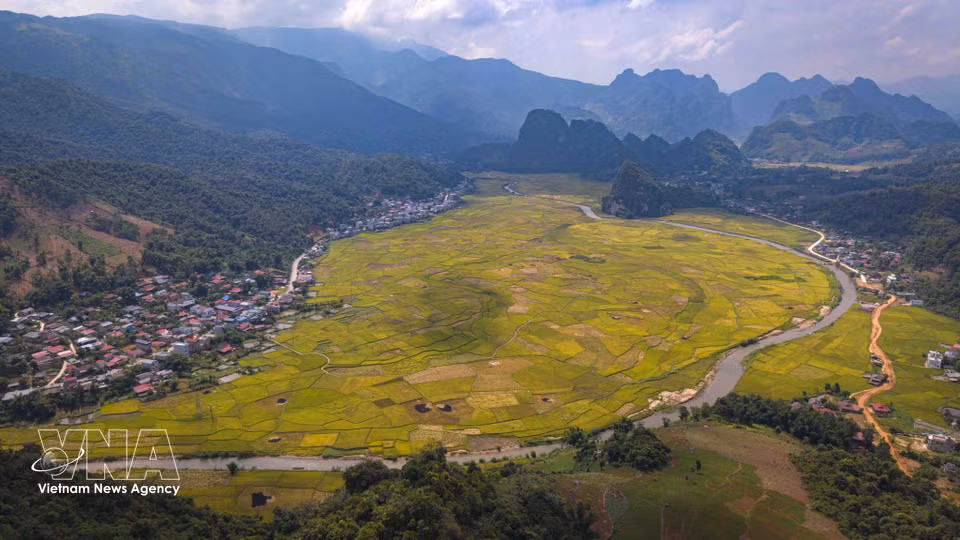 Vista panorámica de los arrozales en plena maduración entre las montañas y las aldeas de la comuna de Chieng Sinh, provincia de Dien Bien. (Foto: VNA)