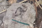 Reliquias de la guerra, entre ellas municiones y un cepillo de dientes, descubiertas en la cueva de Da Sap, en la aldea de Lam Tay, comuna de Ha Nha, ciudad de Da Nang. (Foto: VNA)