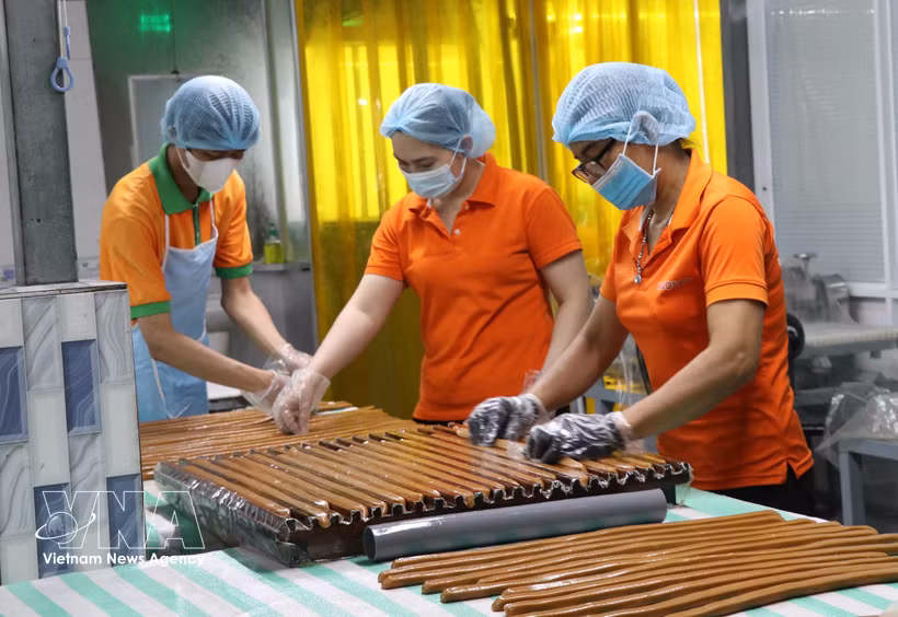 Trabajadores de la empresa Cau Ke (Vicosap), en la comuna de Tam Ngai, provincia de Vinh Long, procesan productos derivados del macapuno. (Foto: VNA)