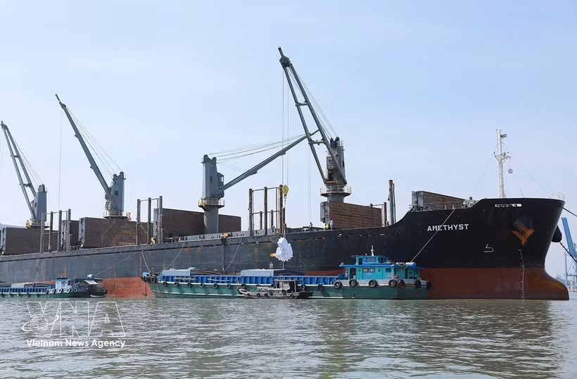 Transporte y carga de arroz comercial para exportación de la Corporación de Alimentos del Sur de Vietnam. (Foto: VNA)