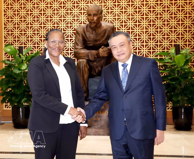 El miembro del Buró Político y jefe de la Comisión de Control Disciplinario del PCV, Tran Sy Thanh, recibe a Ana Comoana, miembro del Buró Político y jefa de la Comisión de Control Disciplinario del Comité Central de FRELIMO. (Foto: VNA)