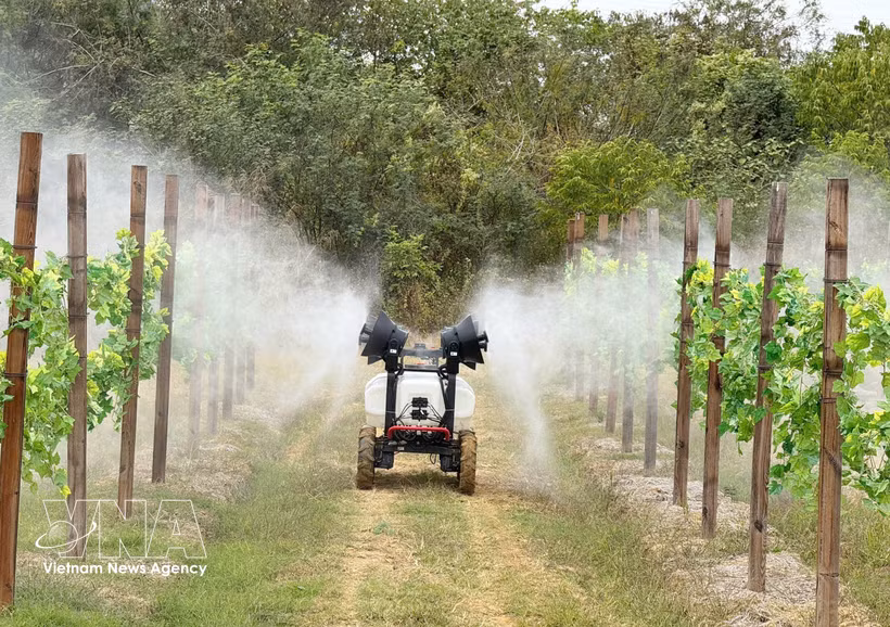 Modelo agrícola de alta tecnología en la provincia china de Guangdong. (Foto: VNA)