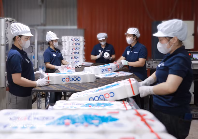 Una empresa papelera vietnamita estandariza sus procesos de exportación a Estados Unidos (VNA).