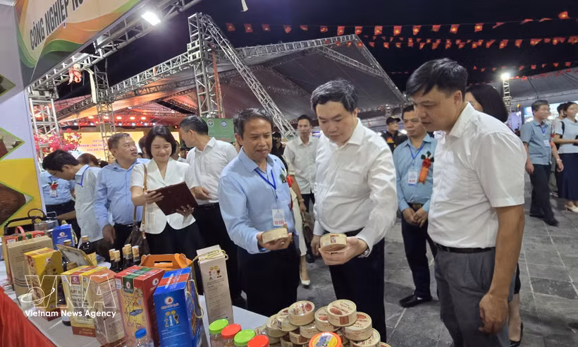 Los delegados visitan el stand de Hai Phong. (Foto: VNA)