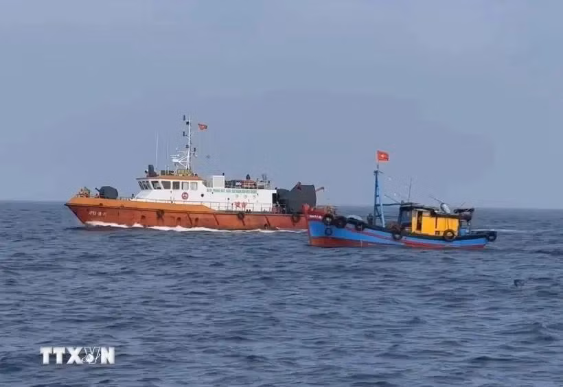 iuu-fishing-1944.jpg.webp