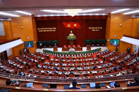 El panorama de la reunión. (Foto: VNA)