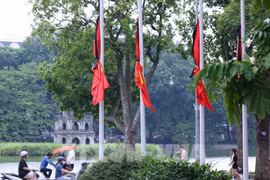 Foto de ilustración. (Foto: VNA)