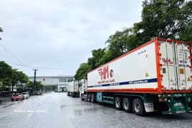 Un convoy de camiones portacontenedores que transportan mercancías realizan los trámites aduaneros en el puesto fronterizo internacional de Thanh Thuy (Tuyen Quang). Foto: VNA