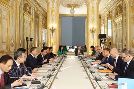 El secretario general del Partido Comunista y presidente de Vietnam, To Lam, y el presidente francés, Emmanuel Macron, sostienen conversaciones. Foto: VNA
