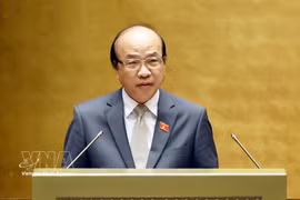 El jefe de la Comisión de Asuntos Legales y Jurídicos de la Asamblea Nacional, Phan Chi Hieu, habla en la reunión. (Foto: VNA)