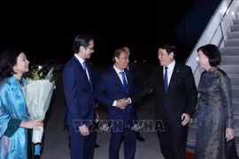 El presidente de Vietnam, Luong Cuong, llega al aeropuerto internacional J.F. Kennedy de Nueva York, Estados Unidos, para participar en el Debate General de Alto Nivel del 80º período de sesiones de la Asamblea General de las Naciones Unidas, así como en diversas actividades bilaterales en el país norteamericano. (Fuente: VNA)