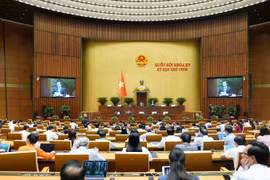 El panorama de la reunión. (Fuente: VNA)