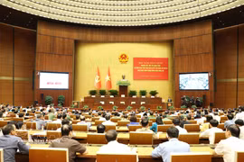 El panorama de la conferencia. Foto: VNA