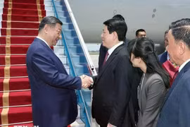 El presidente de Vietnam, Luong Cuong, da la bienvenida al secretario general del Partido Comunista de China y presidente del país, Xi Jinping, en el aeropuerto internacional de Noi Bai. (Fuente: VNA)