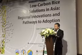 El profesor y doctor Nguyen Hong Son, director de la Academia de Ciencias Agrícolas de Vietnam. (Foto: baochinhphu.vn)