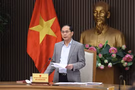 El viceprimer ministro de Vietnam Bui Thanh Son habla en la reunión. (Fuente: VNA)